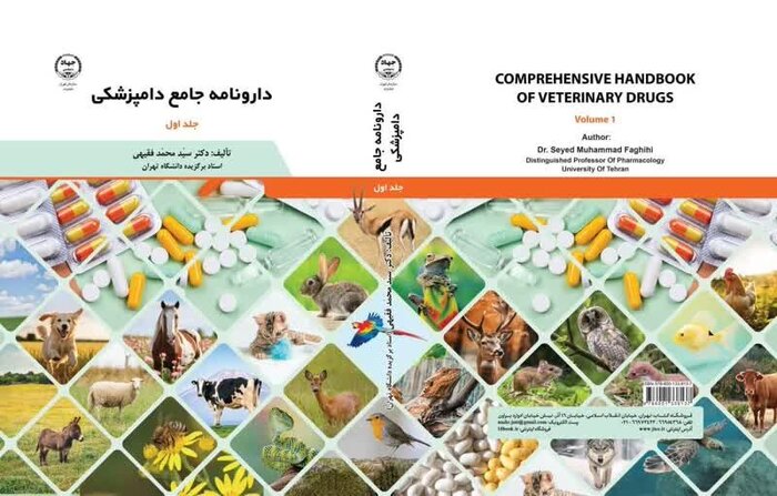 از خبرهای تازه برای نخبگان تا همواری مسیر استقلال دانشگاه‌ها